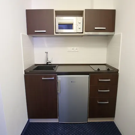 Wellness U Gigantu Guest house Plzen