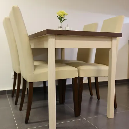 Wellness U Gigantu 4* Plzen
