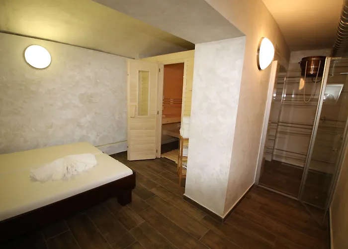 Wellness U Gigantu Guest house Plzen